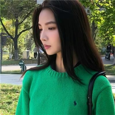 盗贼生涯